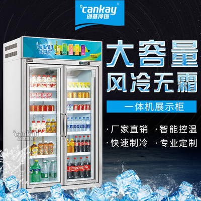 创基冷链 LG-123 饮料展示柜  饮料冷藏柜 冷柜品牌 便利店冷柜 饮料柜 二门冰柜 牛奶保鲜柜 饮料柜厂家